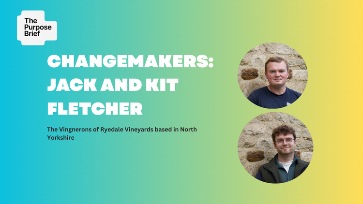 Changemakers: The Vignerons of Ryedale Vineyards