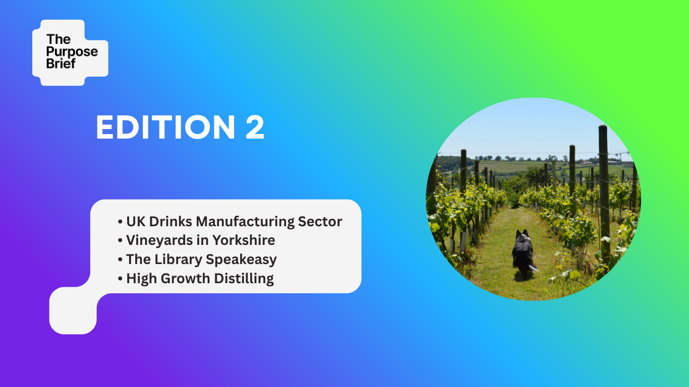 The Purpose Brief - Edition 2